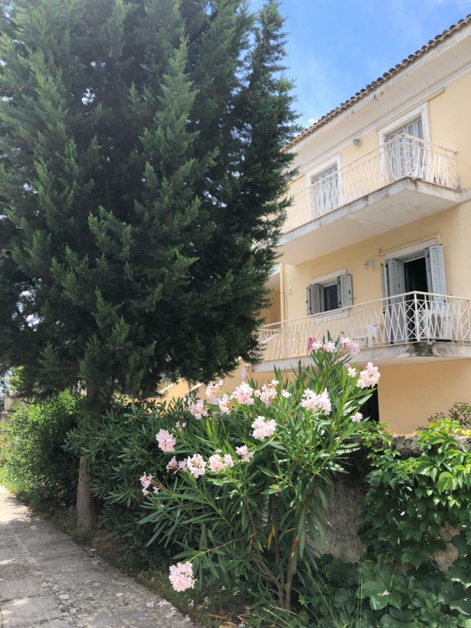Gregos Rooftop Suite City Center W. Sea View Corfu (city) Exterior foto